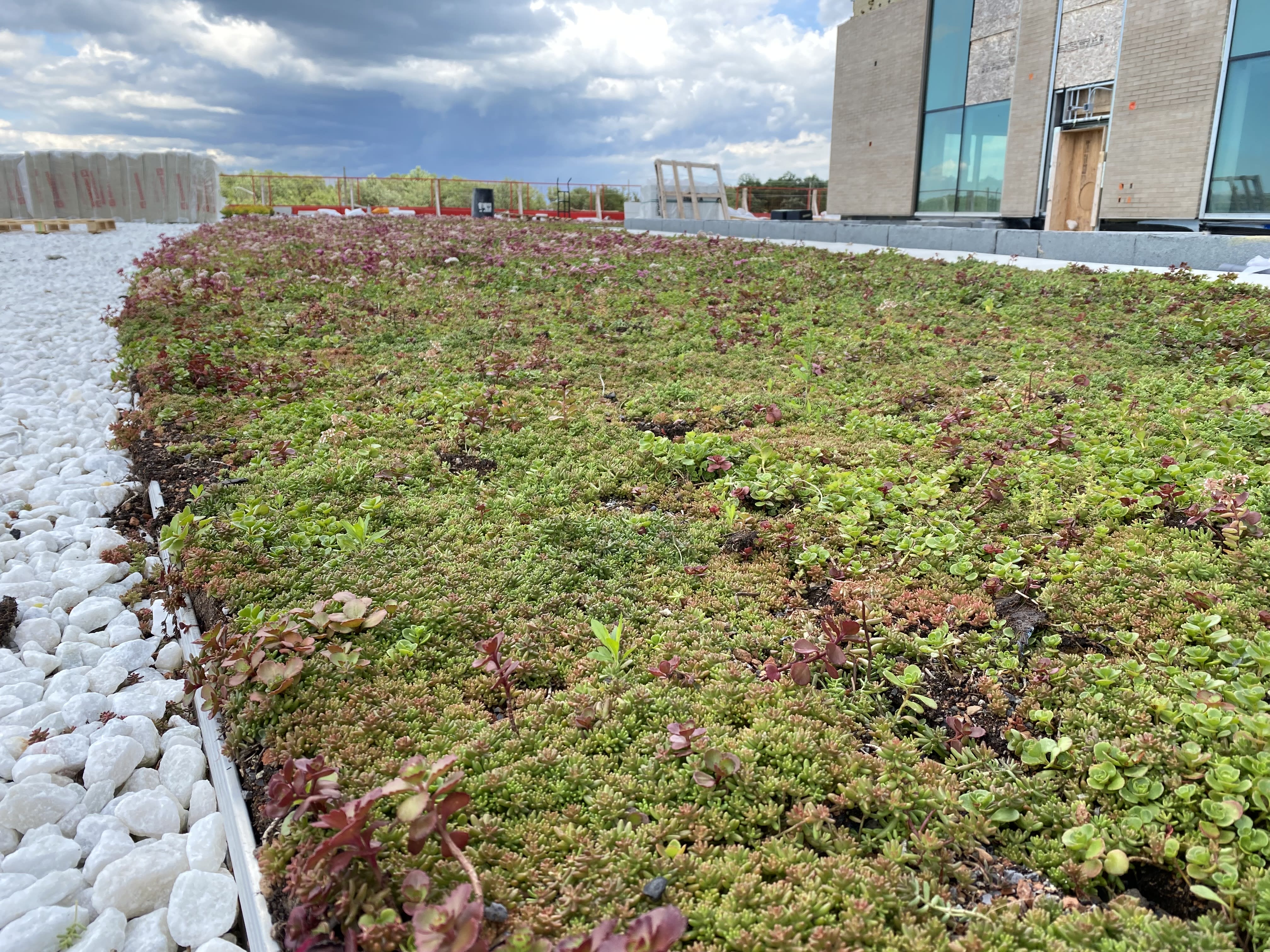 Green Roofs