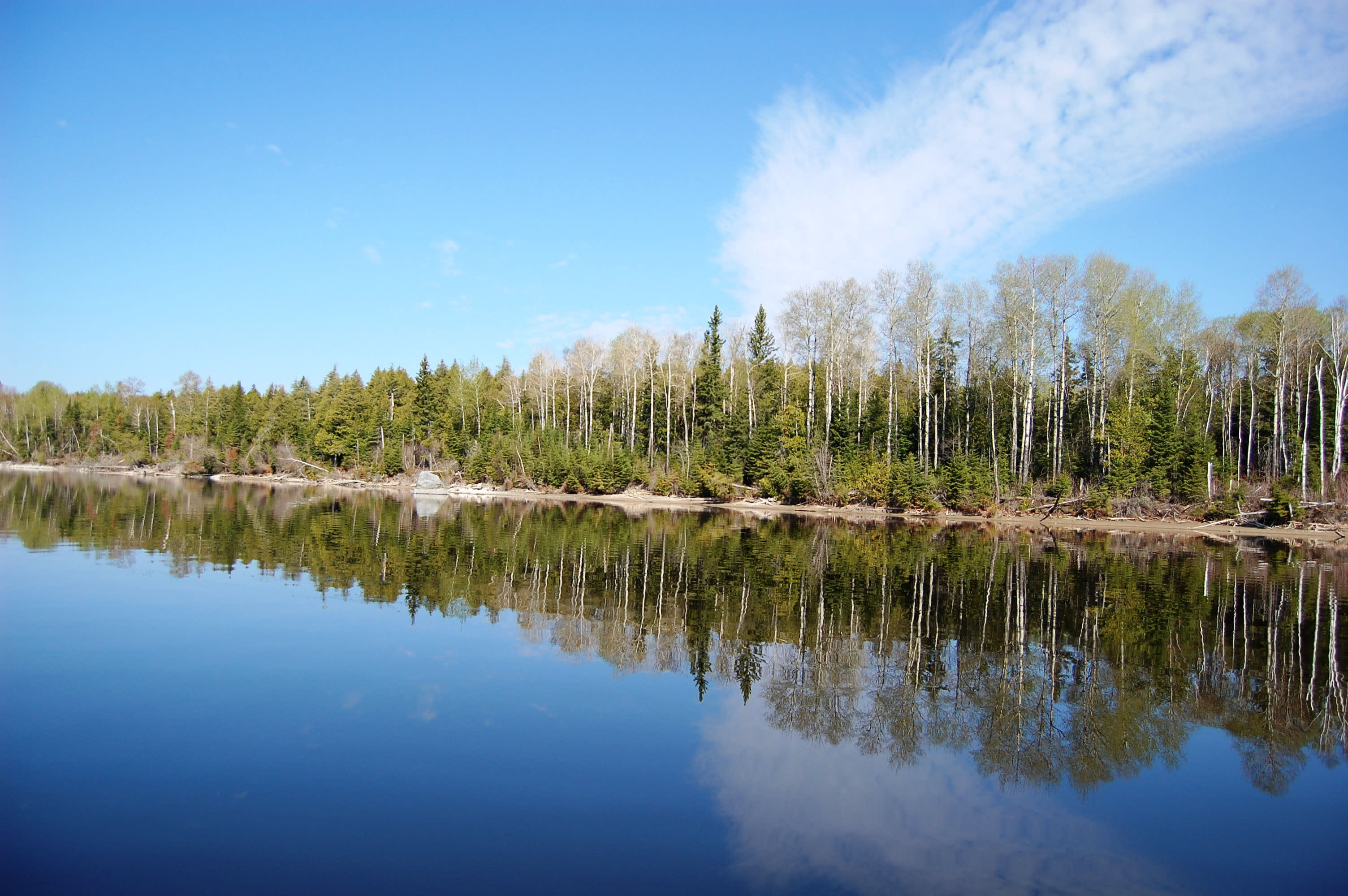 Shoreline of Lac Seul in Northern Ontario under a sunny, blue sky