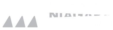 Niagara Ontario Health Team - Équipe Santé Ontario Niagara