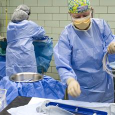 doctors in surgery room